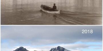 Una Comparacion Que Vale Mas Que Mil Palabras