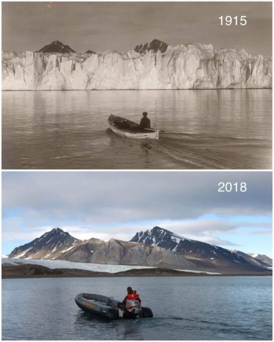 Una Comparacion Que Vale Mas Que Mil Palabras