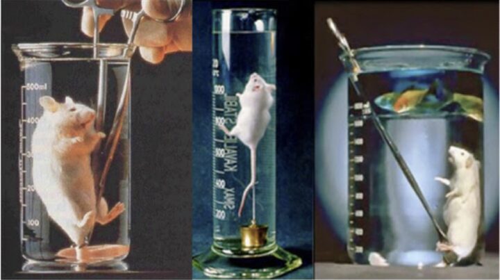 🌏 El perfluorocarbono es un líquido que te permitiría "respirar", si estuvieras sumergido en él. 3 🌏 el perfluorocarbono es un liquido que te permitiria respirar si estuvieras sumergido en el