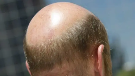 Arrestan A Un Peluquero Narcotraficante En Sinaloa Porque Algunos De Sus Clientes Eran Calvos