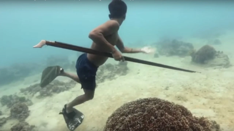 ¿conoces A Los Bajau Los Primeros Humanos Que Por Mutacion Del Adn Pueden Sumergirse 13 Minutos Y Hasta 70m