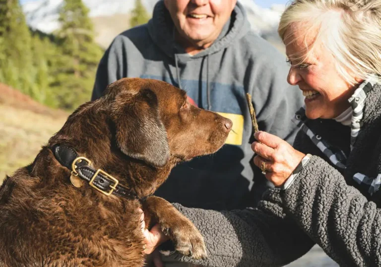 Una anciana deja una herencia de más de 2 millones a sus perros y gatos en lugar de a sus hijos. 1 Una Anciana Deja Una Herencia De Mas De 2 Millones A Sus Perros Y Gatos En Lugar De A Sus Hijos