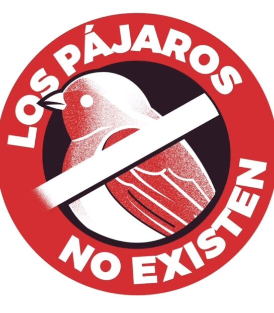 LOS PÁJAROS NO EXISTEN!!!!!!! 12 Los Pajaros No Existen
