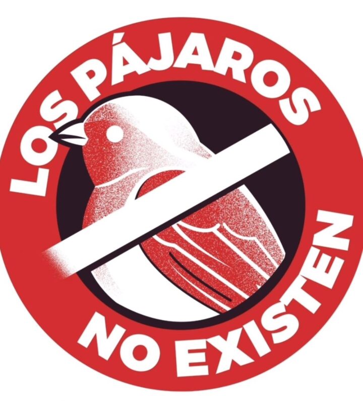 los pajaros no existen