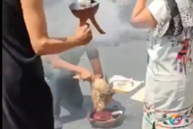 Polemica En Mexico Tras Sacrificar A Una Gallina En Las Instalaciones Del Senado