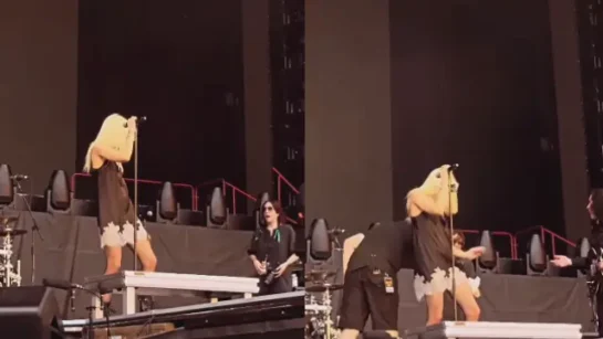 Un Murcielago Ataca A Taylor Momsen