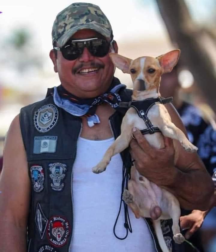 Perrito Acude a Funeral de su Dueño que Murió en Accidente en Moto.. ¡Lo Despidió! 4 01