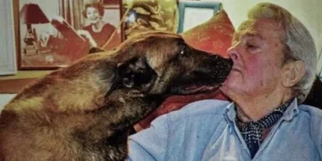 Su Ultimo Deseo Era Sacrificar A Su Perro Y Enterrarlo Con El