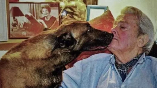 Su Ultimo Deseo Era Sacrificar A Su Perro Y Enterrarlo Con El