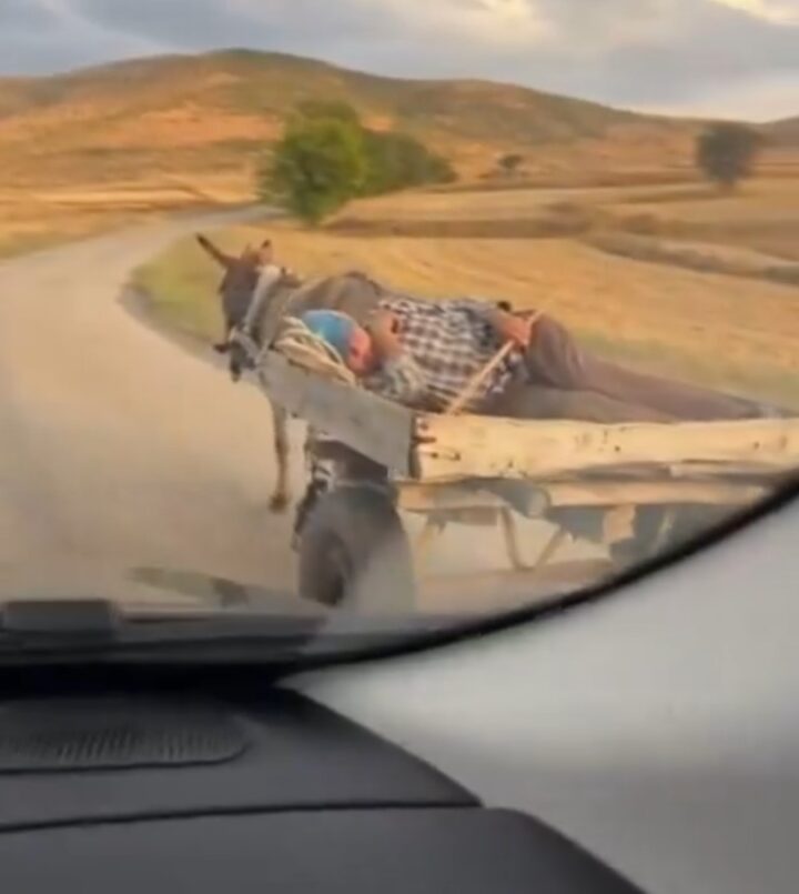 Aquí el Autopiloto original, ni Tesla lo tiene. 3 aqui el autopiloto original ni tesla lo tiene