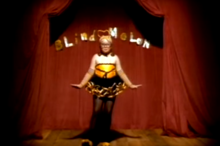 Así luce actualmente la niña-abejita del video de “No Rain” de Blind Melon. 3 asi luce actualmente la nina abejita del video de no rain de blind melon