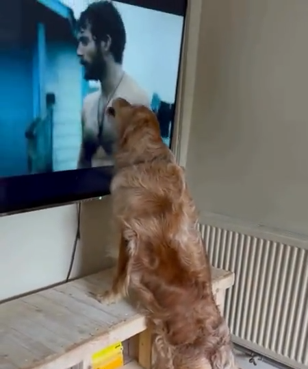 Cuando Estas Viendo Una Peli Con Tu Novia Y Sale Henry Cavill Sin Camiseta