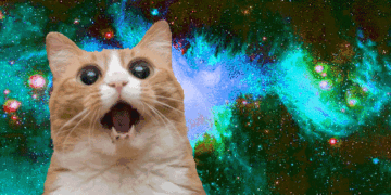 Datos Random Que No Sabias