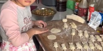 Gyozas En Forma De Ratatouille