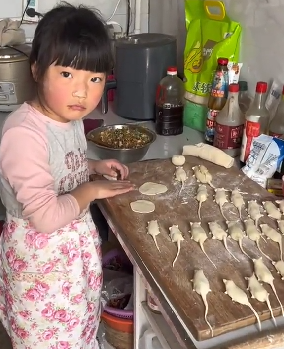 Gyozas En Forma De Ratatouille