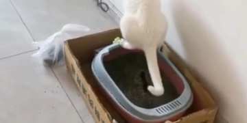 Karen La Proxima Me Pones Papel