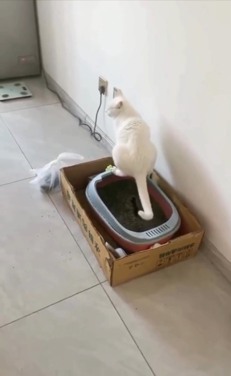 Karen La Proxima Me Pones Papel