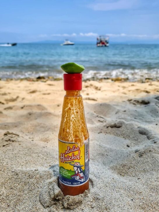 La historia de la Salsa Huichol. 30 La Historia De La Salsa Huichol