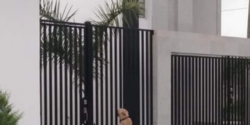 1f1104fb9b5f8d34a216c623629b5ff9116cd0811