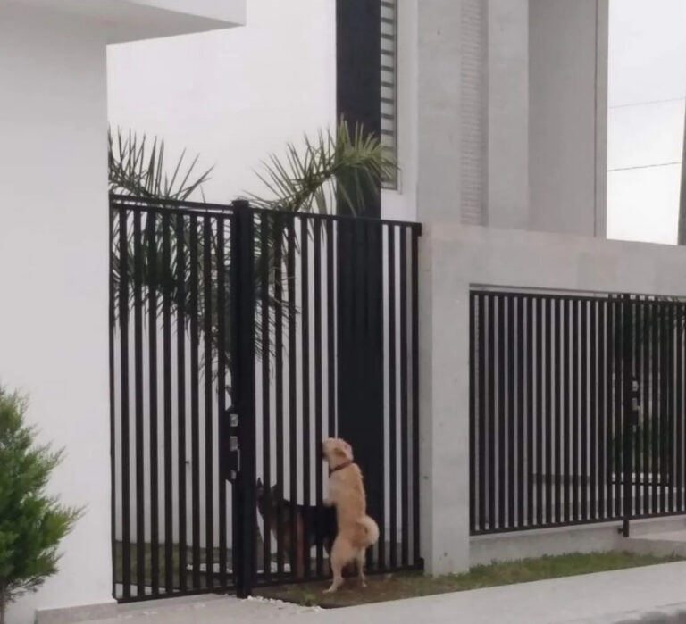 1f1104fb9b5f8d34a216c623629b5ff9116cd0811