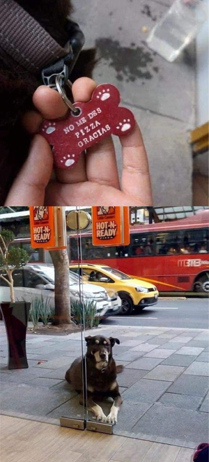 A Veces Tu Propia Familia Son Quienes Apagan Tu Brillo