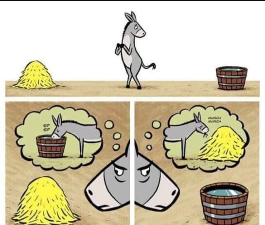 El Dilema del Burro... 3 El Dilema Del Burro