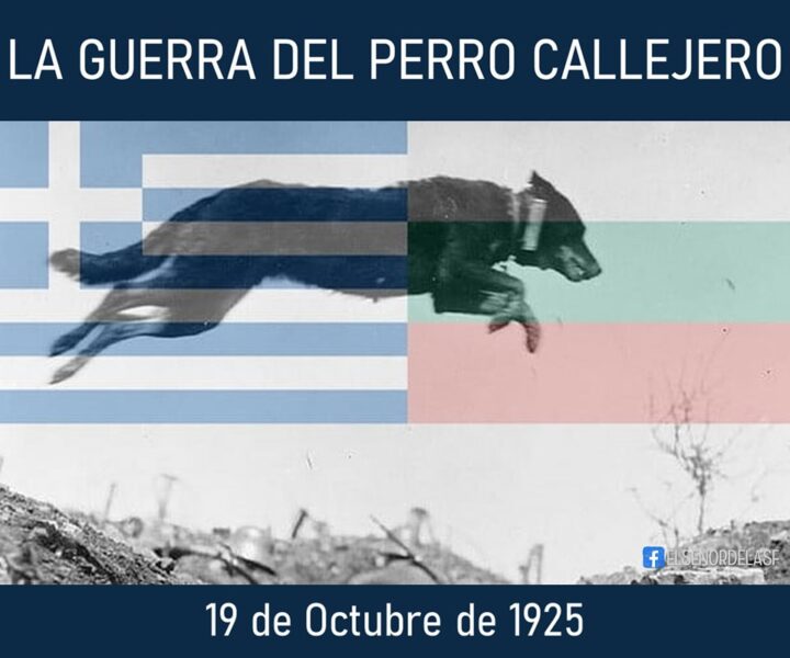 la guerra del perro callejero