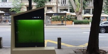 Los Cientificos Crean Un Arbol Liquido