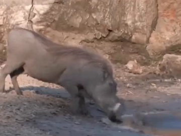 Not Today Compilation