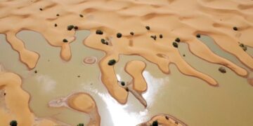 Resurgen Lagos En El Sahara Que Estaban Secos Desde Hace 50 Anos