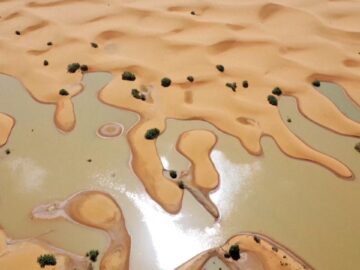 Resurgen Lagos En El Sahara Que Estaban Secos Desde Hace 50 Anos