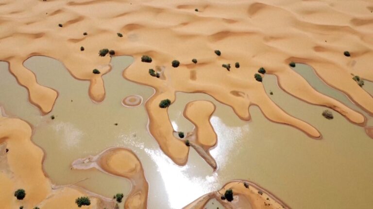 Resurgen Lagos En El Sahara Que Estaban Secos Desde Hace 50 Anos