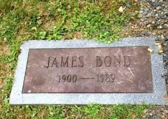 Sabias que el nombre de James Bond salio de.... 13 Sabias Que El Nombre De James Bond Salio De