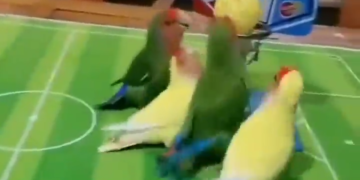 Se Puso Bueno El Juego Resultado 5 4