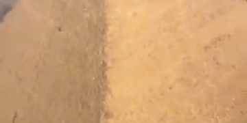 Un Parapentista Sobrevuela La Piramide De Keops Y Se Encuentra A Un Perro En La Cima