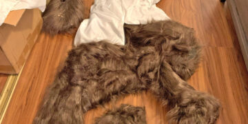 Cuatro Detenidos Por Disfrazarse De Oso Y Simular Ataques A Sus Coches Para Cobrar El Seguro