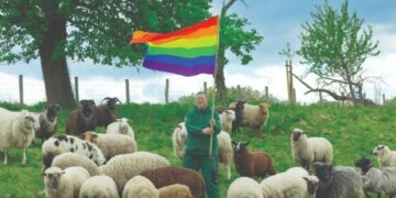 Hacen Ropa Con Lana De Ovejas Gays