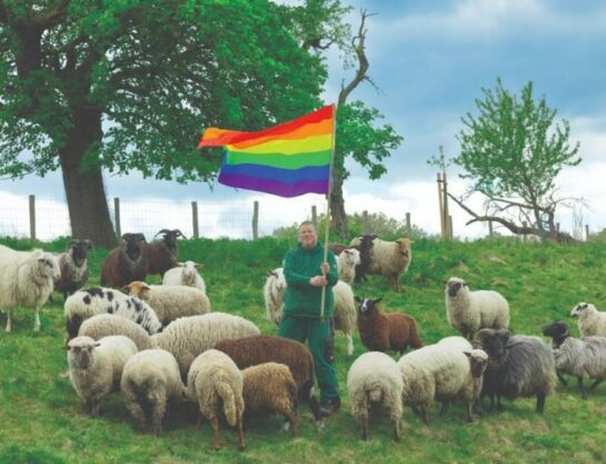 Hacen Ropa Con Lana De Ovejas Gays