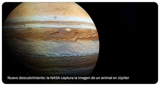 La Nasa Captura La Imagen De Un Animal En Jupiter