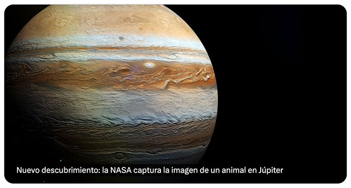 La NASA captura la imagen de un animal en Júpiter... 3 La NASA captura la imagen de un animal en Júpiter...