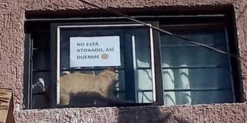 Lo Bueno Que Avisaron