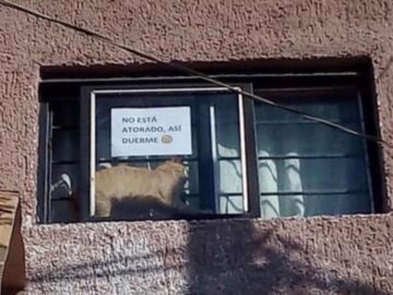 Lo Bueno Que Avisaron