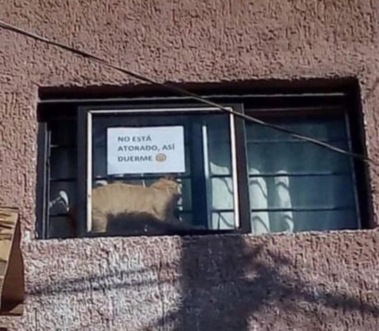 Lo Bueno Que Avisaron