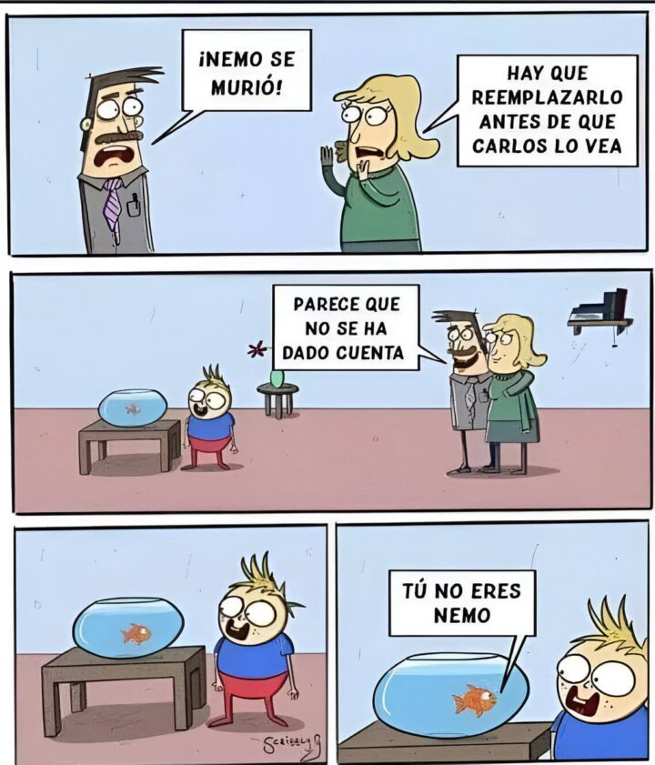 Nemo se murió!!!