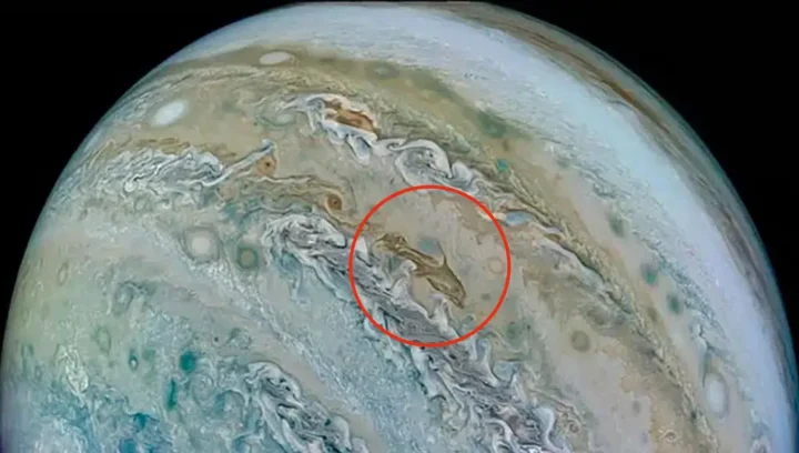 La NASA captura la imagen de un animal en Júpiter... 4 nube forma delfin jupiter 581