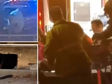 Oye Golpes Bajo Su Casa Durante Meses Creyendo Que Son Animales Pero La Policia Descubre Que Es Un Hombre Desnudo