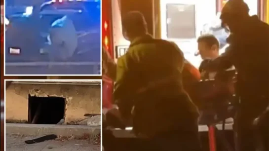 Oye Golpes Bajo Su Casa Durante Meses Creyendo Que Son Animales Pero La Policia Descubre Que Es Un Hombre Desnudo