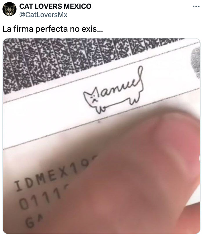 Una Firma Con Mucha Personalidad