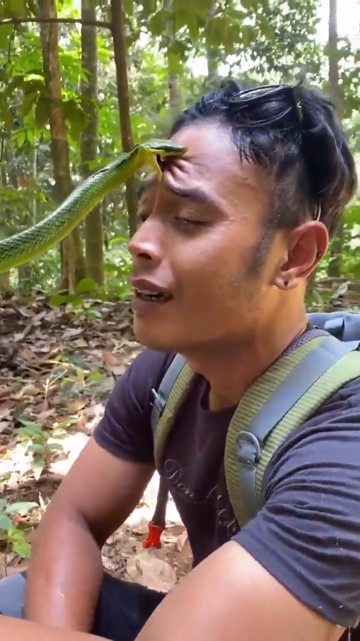 Ya Se Cansara De Morder