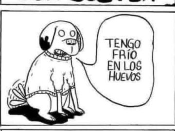Las Aventuras Del Perro Con Sueter